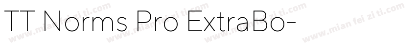 TT Norms Pro ExtraBo字体转换